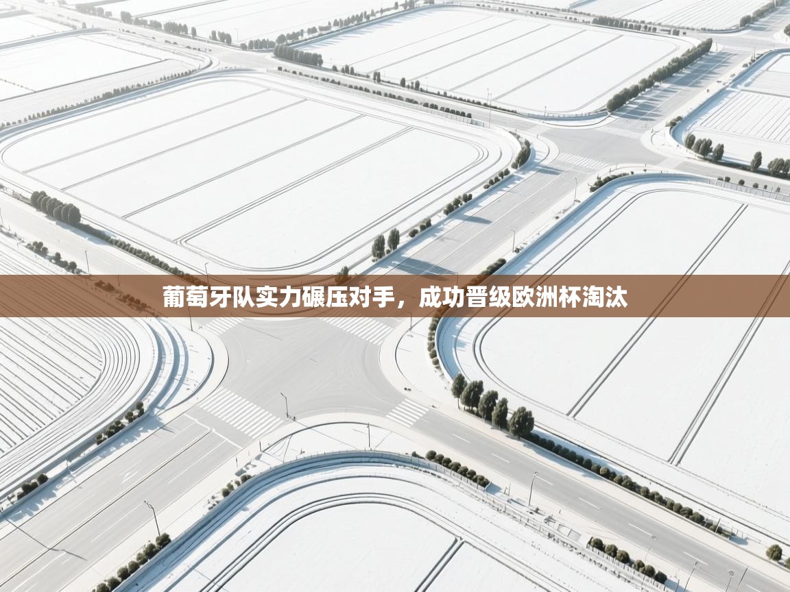 葡萄牙队实力碾压对手，成功晋级欧洲杯淘汰  第1张