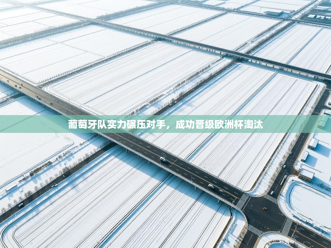 葡萄牙队实力碾压对手，成功晋级欧洲杯淘汰  第2张