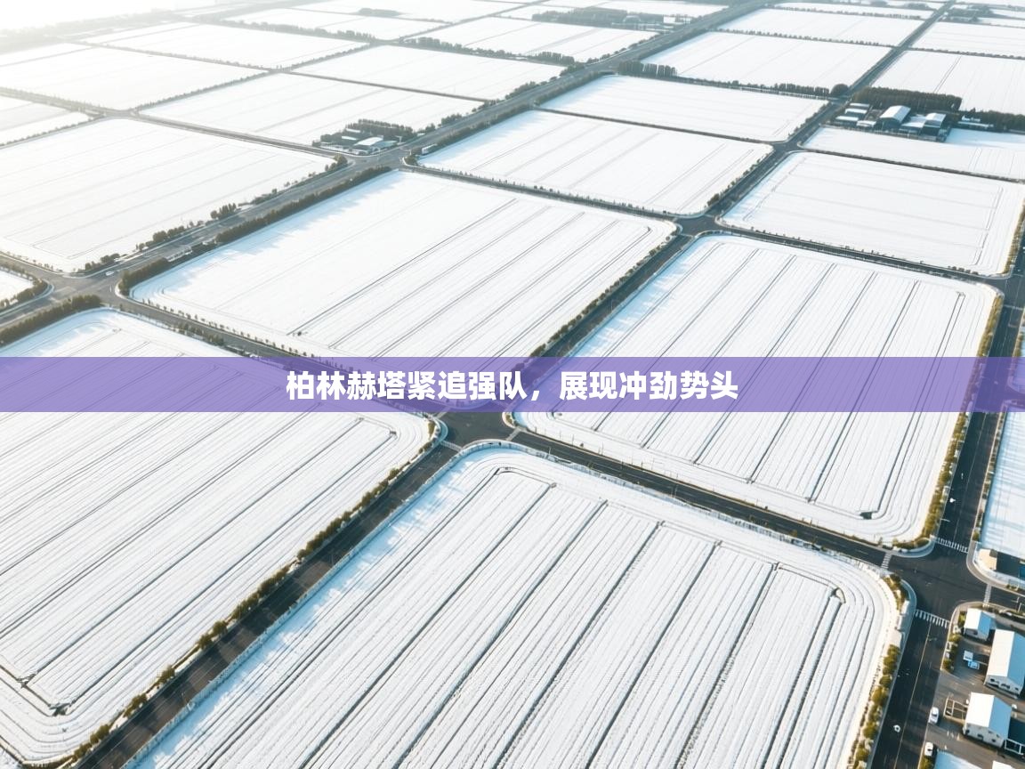 柏林赫塔紧追强队，展现冲劲势头  第1张